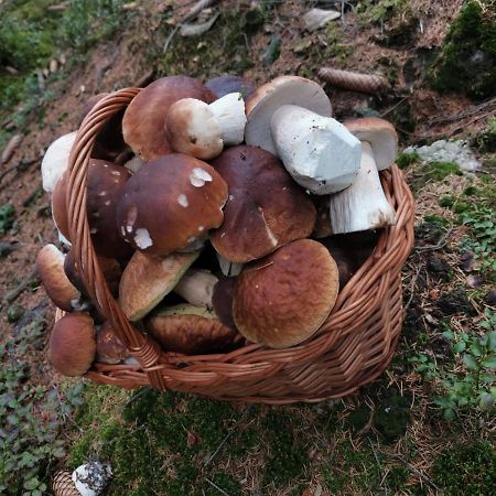 Hostinec U Pejska A Kocicky Mariánské Lázně Exterior foto